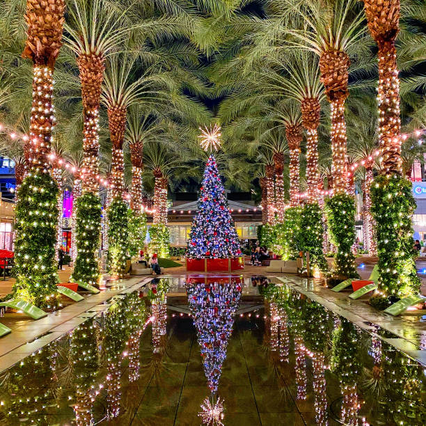 540+ Arizona Christmas Stock Photos, Pictures & RoyaltyFree Images Christmas In Arizona