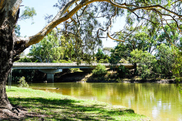 istock Howlong, NSW, Australia 1276133762