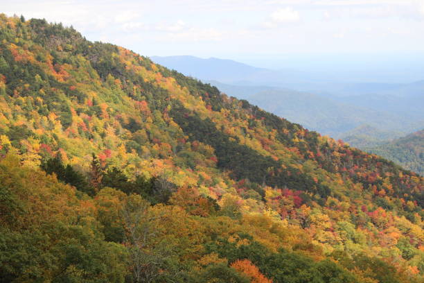 istock Colorful fall foliage NC Blue Ridge Parkway 1276191830