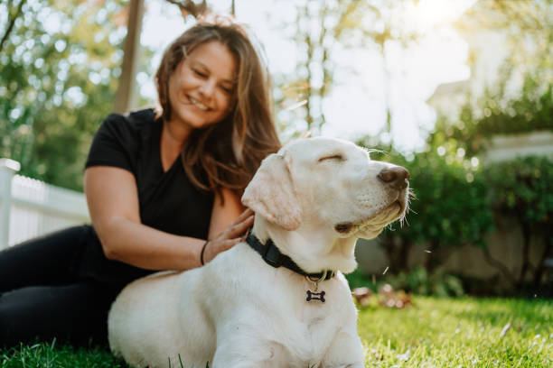 istock Woman with her dog in the yard 1276214659