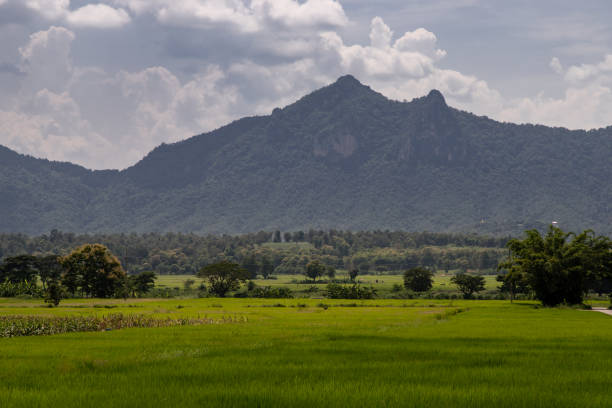 istock Fields landscape scenery view of Thailand. 1276261906