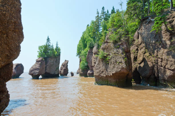 istock Hopewell Rocks at high tide 1276274346