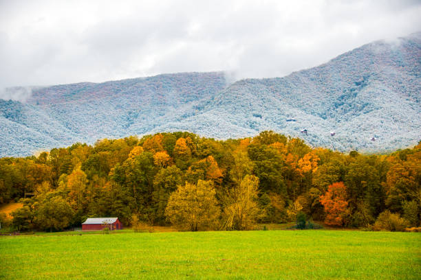istock A Dusting of Snow in the Fall 1276350292