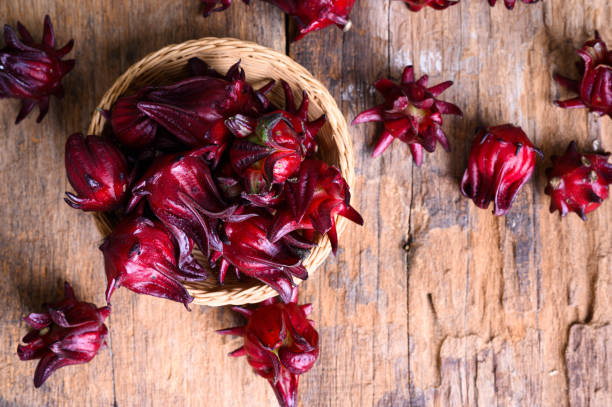 hibiscus sabdariffa oder roselle früchte - sepal stock-fotos und bilder