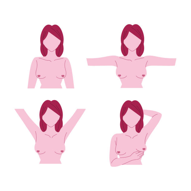 ilustrações, clipart, desenhos animados e ícones de autoexame de prevenção do câncer de mama - self examination