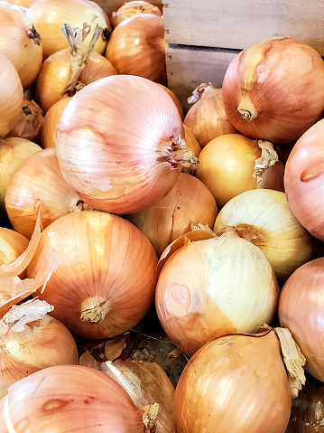 Sweet onions piled up in a bin at a farm stand. Great background for an onion recipe.