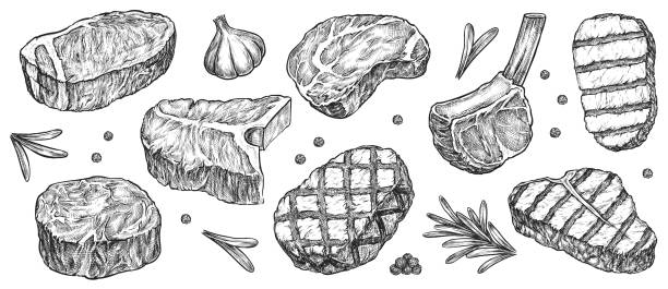 Hand drawn steak set isolated on white background Steak sketch. Hand drawn beef, lamb and pork steak extra or medium rare with garlic, greenery and pepper spice vector collection. Butchery food meat product sketch engraved set isolated on white cut of meat stock illustrations