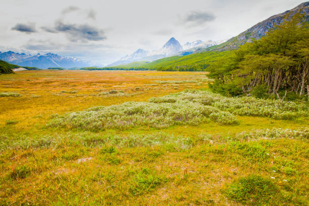 istock Argentina patagonia landscape 1276367378