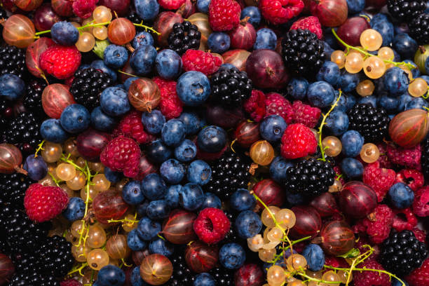 istock Gooseberries, blueberries, mulberry, raspberries, white and red currants. 1276367473
