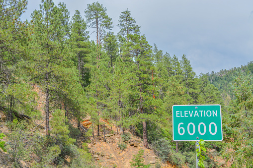 The elevation at Oak Creek Vista in the mountains of Arizona pine forest.