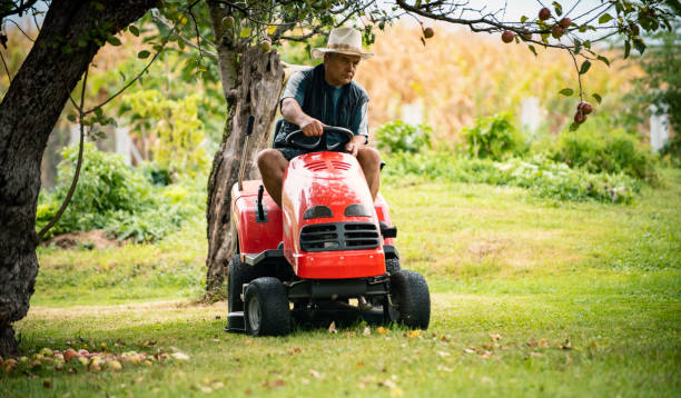 istock Gardener driving a riding lawn mower in a garden 1276371596