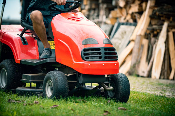 istock Closeup of mower cutting the grass 1276371600