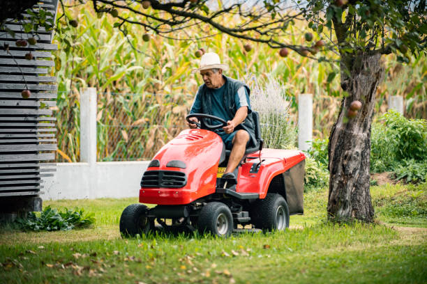 Lawn mower tractor Worker man riding lawn mower mini tractor on a meadow grass garden tractor stock pictures, royalty-free photos & images