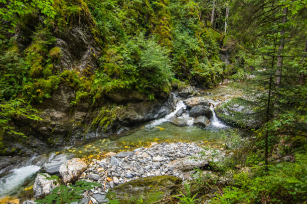 istock colorful stones in a clear torrent 1276371858