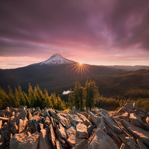 Majestic View of Mt. Hood on a bright, colorful sunset during the summer months in Mount Hood National Forest, Oregon Most popular landscape background Majestic View of Mt. Hood on a bright, colorful sunset during the summer months in Mount Hood National Forest, Oregon sunset dew stock pictures, royalty-free photos & images