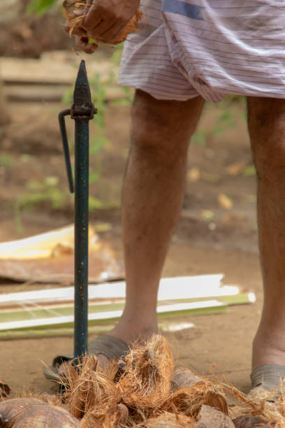 istock Man open coconut shell by old knife, Closeup 1276377174