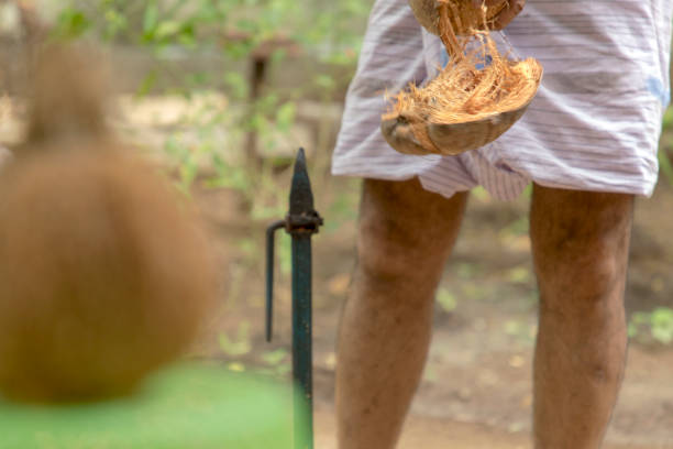 istock Man open coconut shell by old knife, Nature background 1276377182