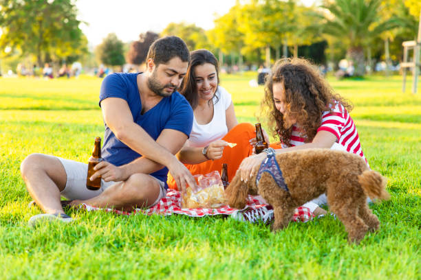 istock Three friends sitting on the grass in the park 1276378346
