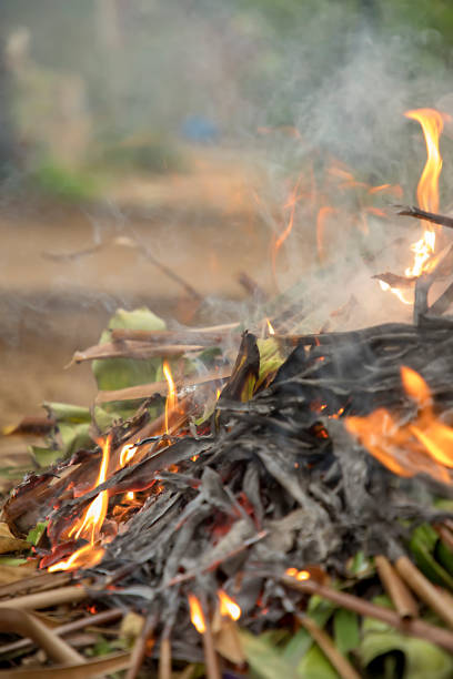 istock Burning trash leaves and tree branches in the garden 1276380121
