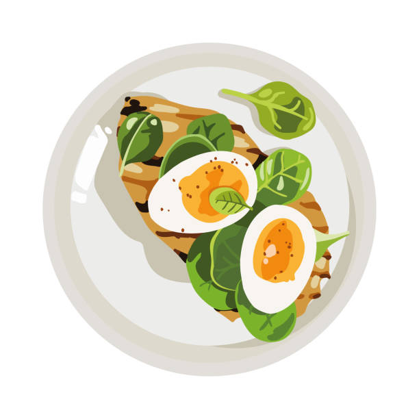 ilustrações de stock, clip art, desenhos animados e ícones de boiled egg halves and grilled chicken breast with spinach and spice on the rounded plate. flat vector illustration isolated on a white background. - chicken breast chicken grilled chicken protein