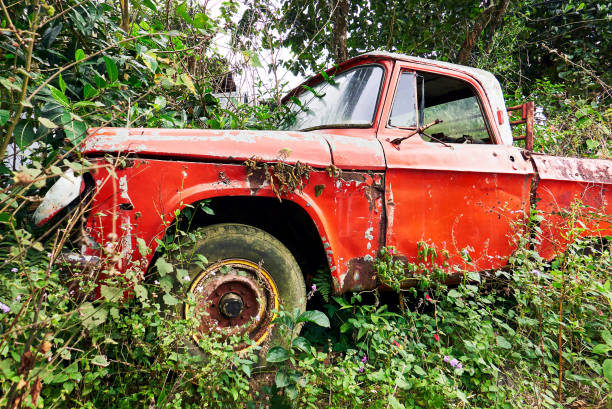 Old red pickup truck wreck abandoned next a road Close-up view of an old red pickup truck abandoned next to a road, surrounded by plants and a rust gasoline drum, Mountain Province, Philippines distressed rusty vintage pickup truck close up detail stock pictures, royalty-free photos & images