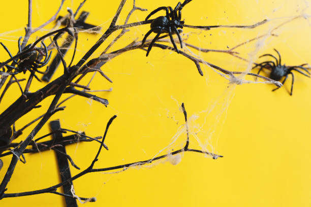istock Halloween house decorations,A spider on a yellow background. 1276383095