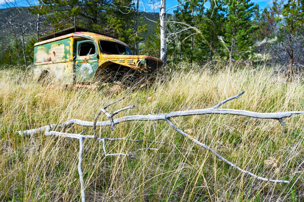 istock Old rusty wreck of a truck from old war times 1276383208