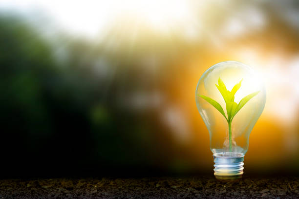 istock Renewable energy concept Earth Day or environment protection Hands protect forests that grow on the ground and help save the world. 1276384517