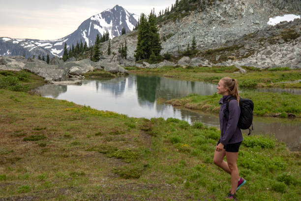 istock Female hiker looks off to distant mountain scene 1276385338