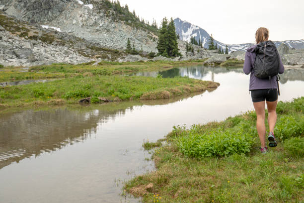 istock Female hiker looks off to distant mountain scene 1276385691