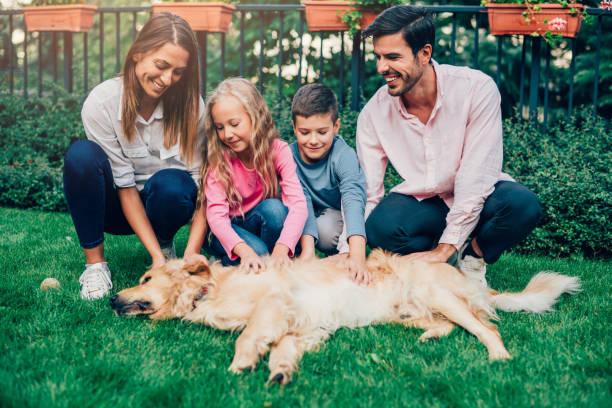 istock Having fun in the garden with our dog. 1276386724