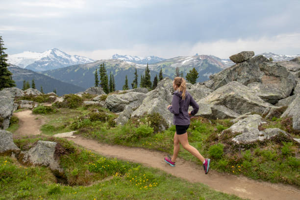 istock Female hiker follows mountain path through meadow 1276386813