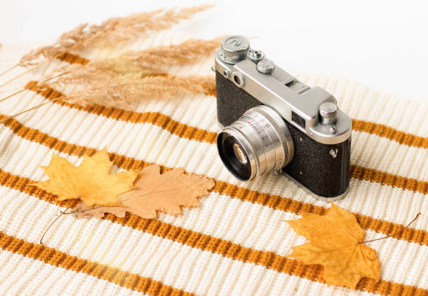 boční pohled na vintage kameru, pruhovaný svetr a podzimní listy. - díkůvzdání fotky - stock snímky, obrázky a fotky