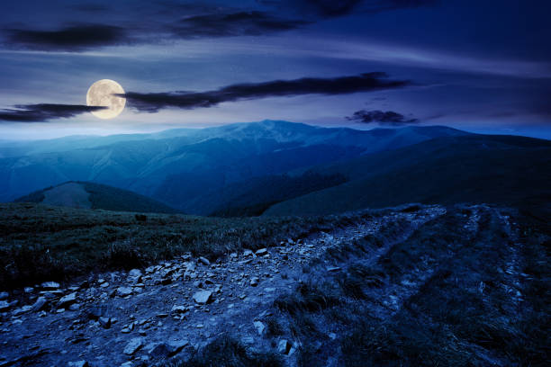 Photo of mountain road through grassy meadow at night