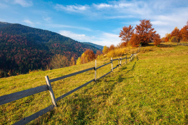istock mountainous carpatian rural landscape in autumn 1276386964