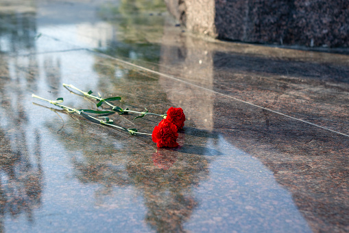two red flower carnations lying on polished granite. flowers at the monument.