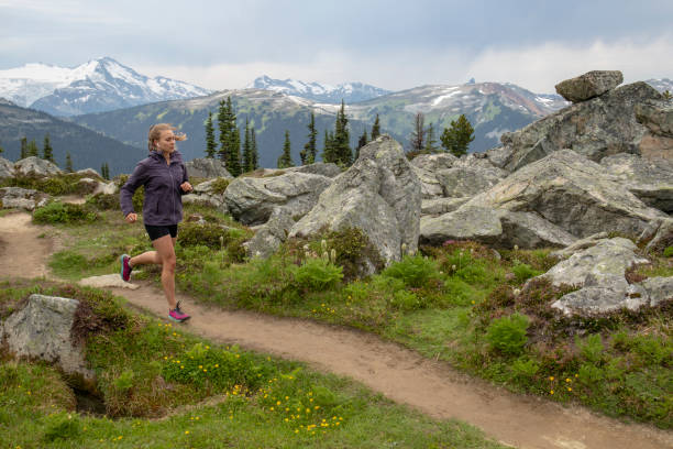istock Female hiker follows mountain path through meadow 1276388056