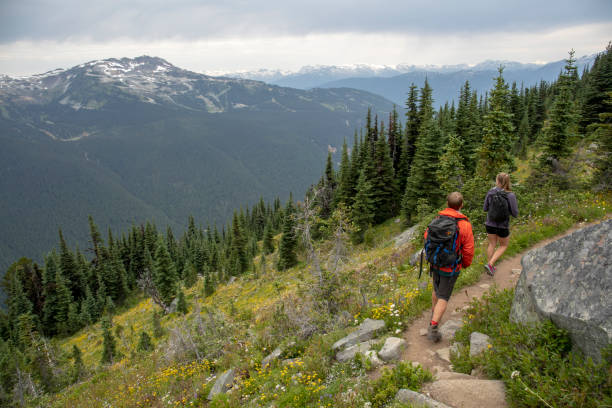 istock Hiking couple walk along forested trail in alpine meadow 1276388593