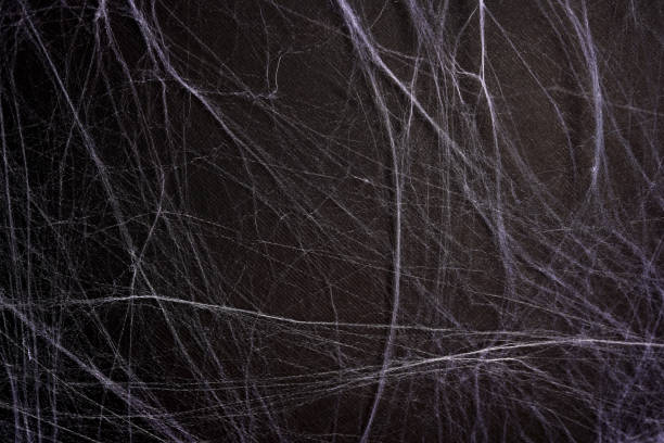 istock White spider's net on a black background. concept of halloween 1276390362