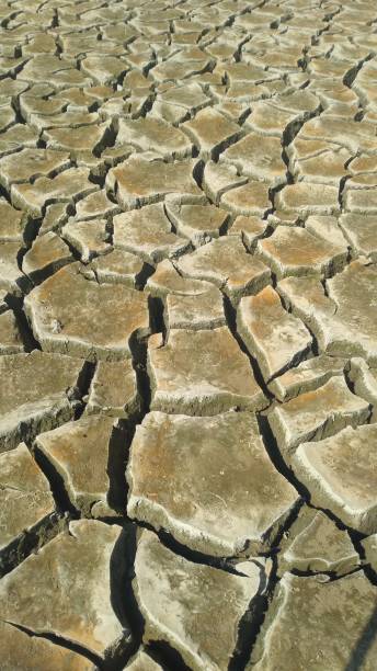 Cracked Soil and Drought stock photo