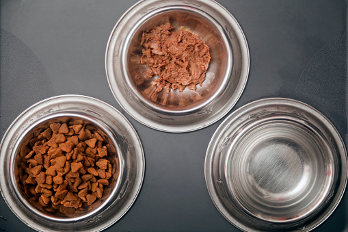 Pet dried food, wet food and fresh water dishes side by side, directly above close-up view.