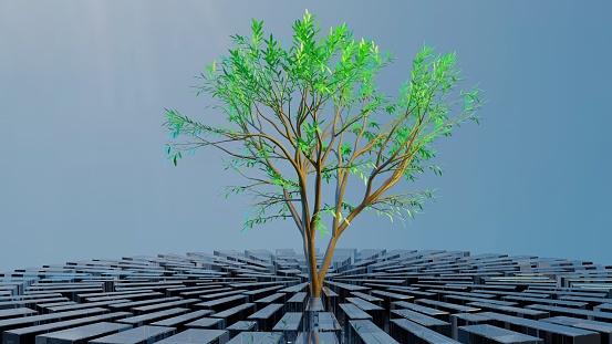 Digital tree on technology