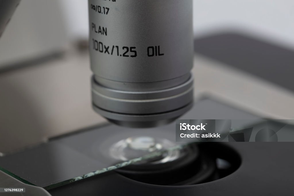 Microscope Sample Samples Examining Of Test Sample Under The Microscope In Laboratory Optical ...