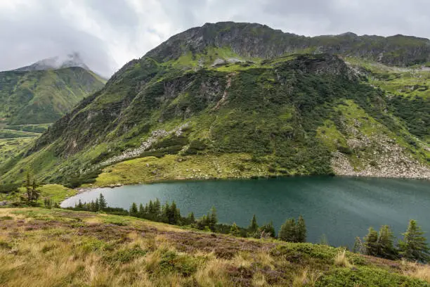 mountain lake with hillslope in green mountains while hiking