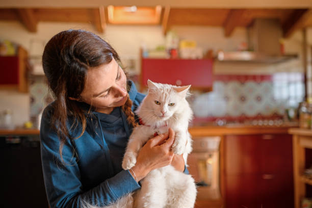 istock Woman with her cat at home 1276400703