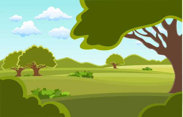 ilustraciones, imágenes clip art, dibujos animados e iconos de stock de paisaje campos verdes de verano con hierba, árboles. - tree silhouette meadow horizon over land