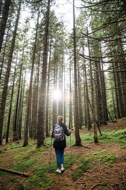 istock Female hiker with a sticks for a nordic walking 1276401187