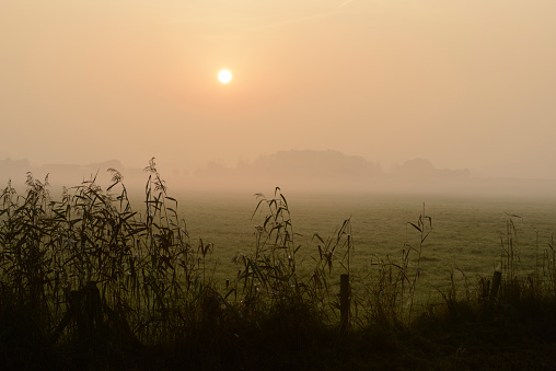 Sunrise over the meadows during a beautiful fall morning in the IJsseldelta region in Overijssel, The Netherlands.