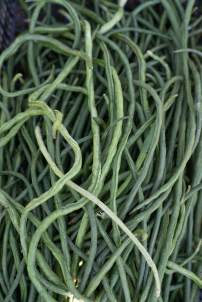 istock Top view of fresh green beans 1276402588