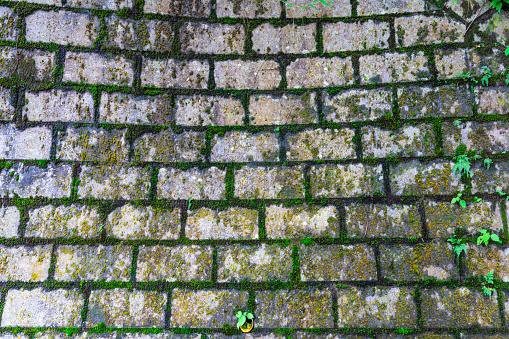 Defects in the facade of the building. Moss on the wall.